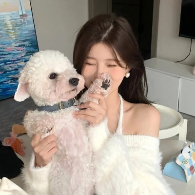 暴力的种子